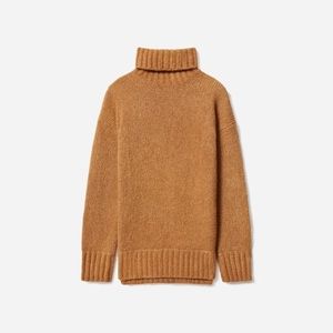 Everlane The Cloud Turtleneck